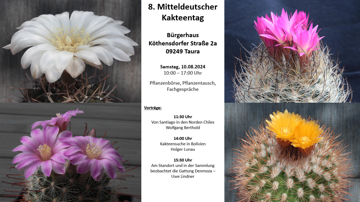 2024 06 30 Mitteldeutscher Kakteentag final