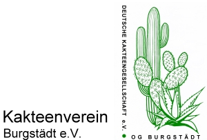 Kakteenverein Burgstädt e.V: